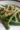 Delicious cheesy garlic green beans served as a side dish