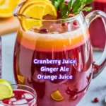 Ginger Cranberry Punch Mocktail served in a glass with garnishes