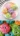 Gooey Monster Cake Cookies made with colorful cake mix and chocolate chips