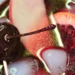 Non-alcoholic Polyjuice Potion Punch Halloween drink inspired by Harry Potter