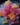 Colorful homemade rhubarb sour candy on a plate.