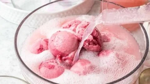 Delicious Pink Sherbet Punch served in a festive glass garnished with fruit