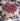A slice of Christmas Cranberry Cake topped with cranberries and icing