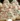 Homemade Christmas soft shortbread cookies on a festive plate