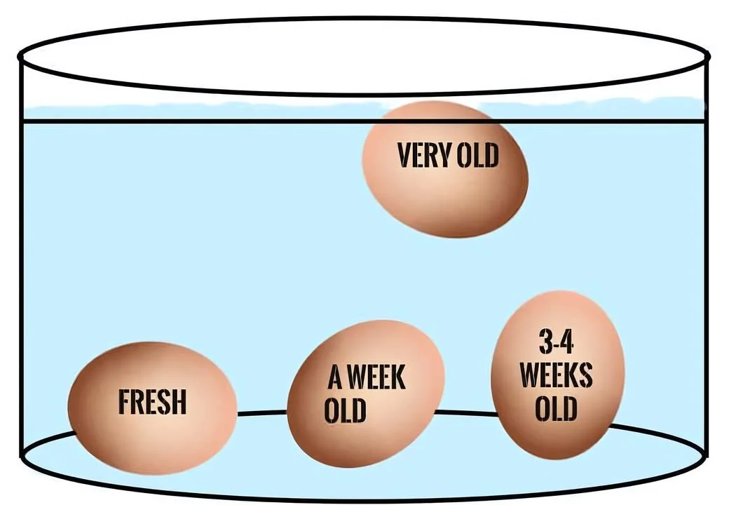 Fresh eggs on a kitchen counter with a person checking their freshness