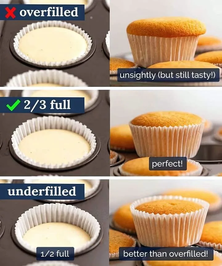 Delicious vanilla cupcakes with creamy frosting on a decorative plate.